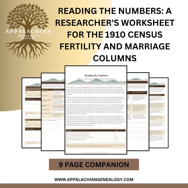 Reading the Numbers: A Researcher's Worksheet for the 1910 Census Fertility and Marriage Columns